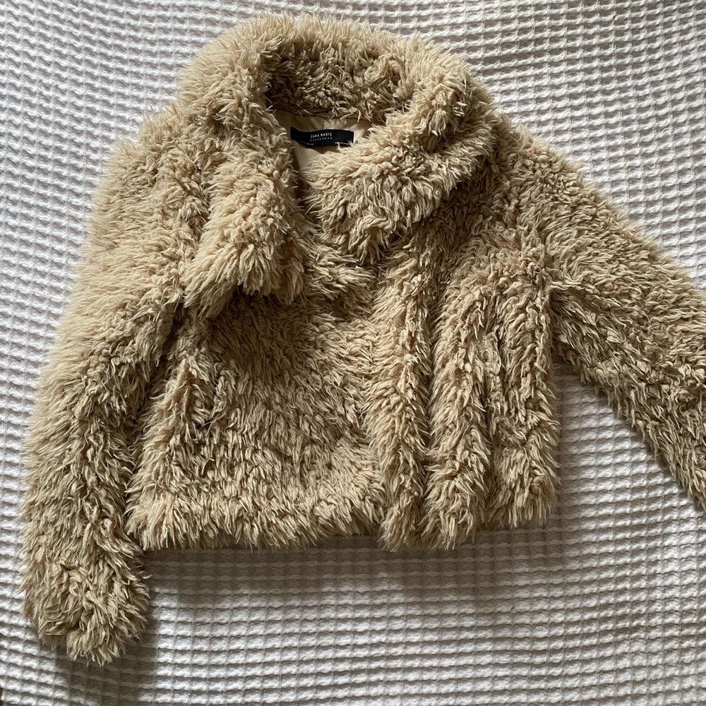 Zara Shag Jacket